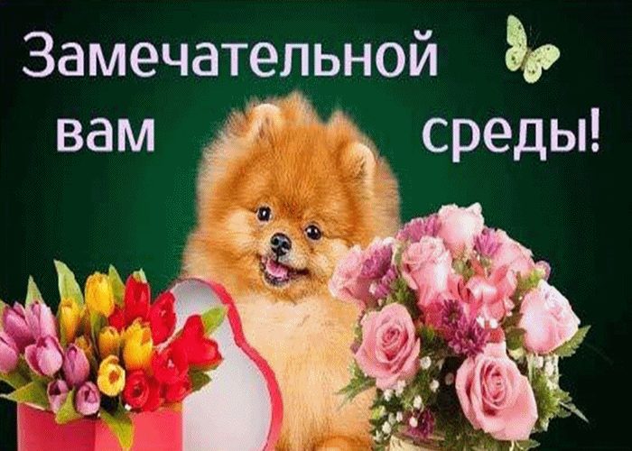 Открытки